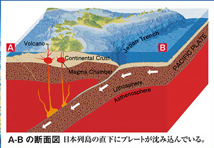 日本断面図